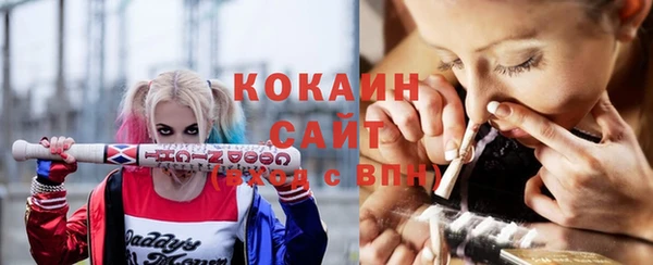 мет Пестово