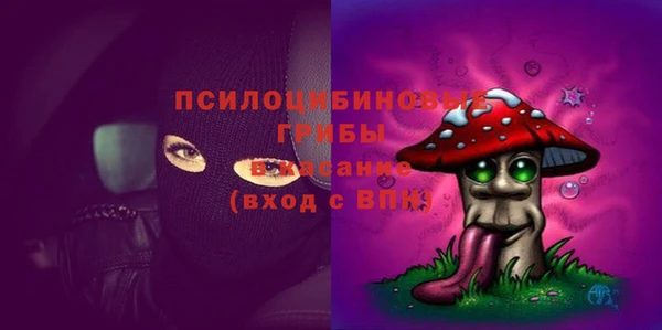 прущие крисы Дрезна