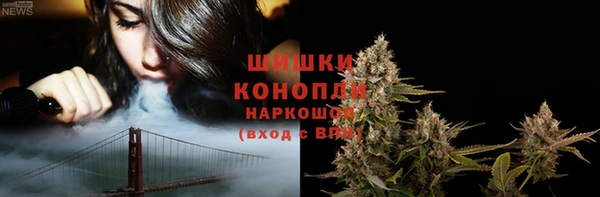 индика Дубовка