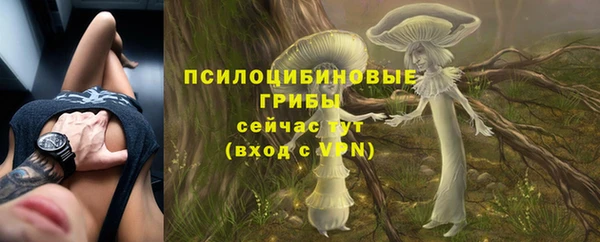 COCAINE Переславль-Залесский