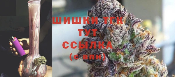 крисы Дубна