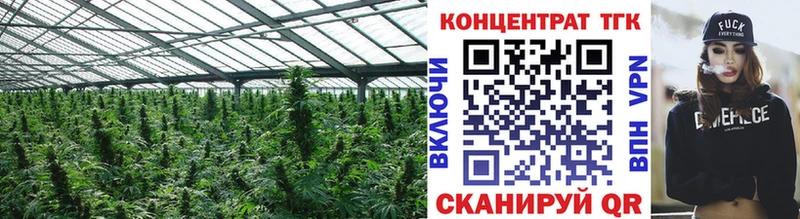ТГК гашишное масло  Полярный 