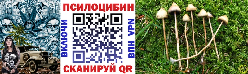 Псилоцибиновые грибы мицелий  Полярный 